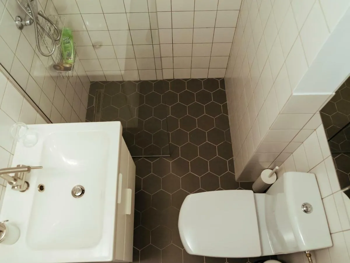 Top Location - Queen Elizabeth Studio Flat Bucharest Apartment