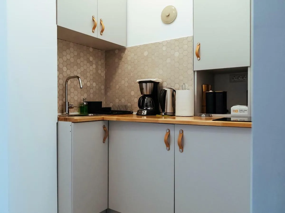 Top Location - Queen Elizabeth Studio Flat Bucharest Apartment